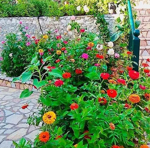 Apartment Voula Myrtos *